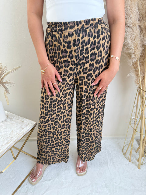 Leo Musselin Hose Leo